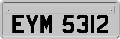 EYM5312