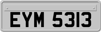 EYM5313