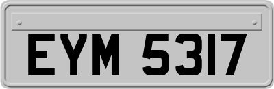 EYM5317