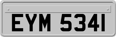 EYM5341