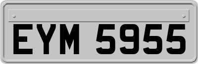 EYM5955