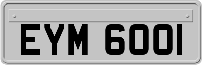 EYM6001