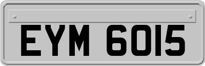 EYM6015