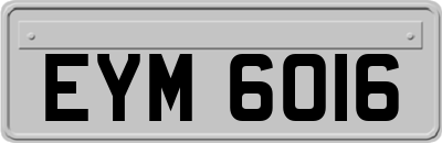 EYM6016