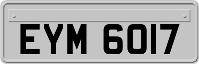 EYM6017