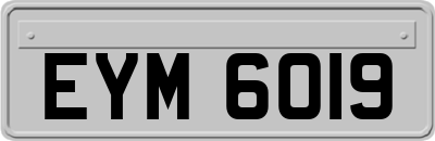 EYM6019