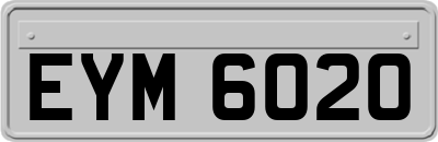 EYM6020