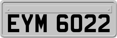 EYM6022