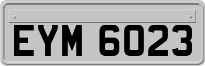 EYM6023