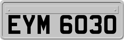 EYM6030