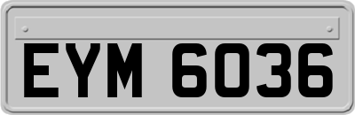 EYM6036