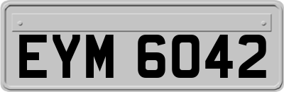 EYM6042