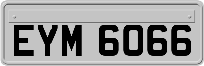 EYM6066