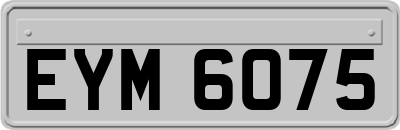 EYM6075