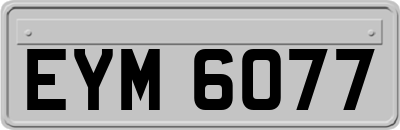 EYM6077