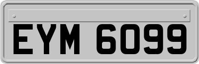 EYM6099