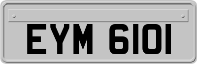 EYM6101