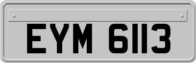 EYM6113