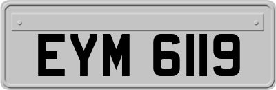 EYM6119