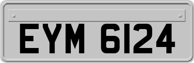 EYM6124