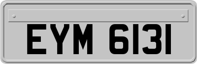 EYM6131