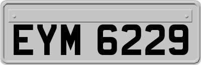EYM6229