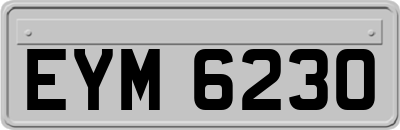 EYM6230
