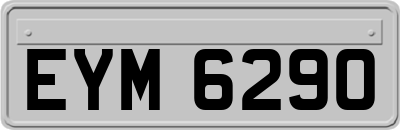 EYM6290