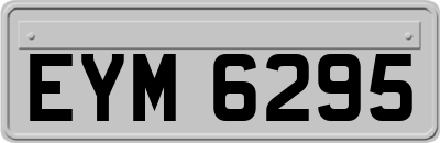 EYM6295