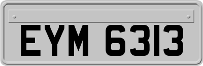 EYM6313