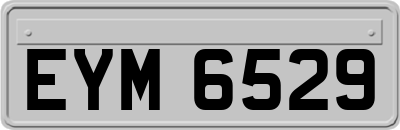 EYM6529
