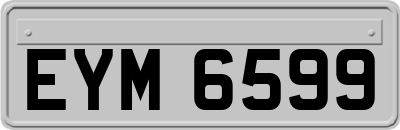 EYM6599