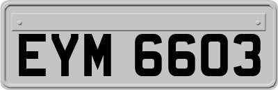 EYM6603