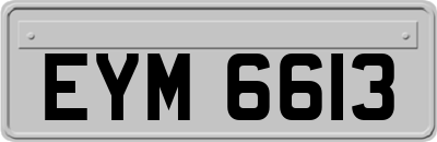 EYM6613