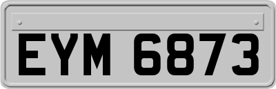 EYM6873