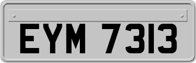 EYM7313