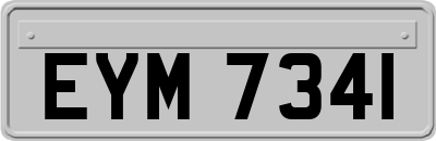EYM7341