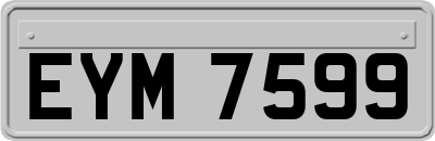 EYM7599