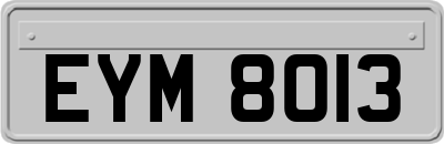 EYM8013