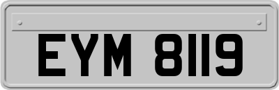 EYM8119