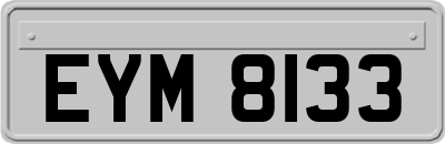 EYM8133