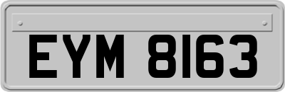 EYM8163