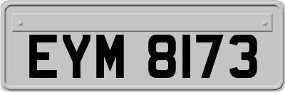 EYM8173