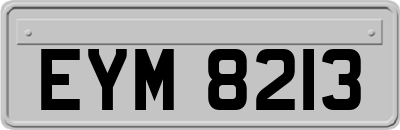 EYM8213