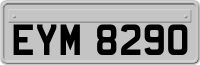 EYM8290