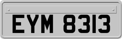 EYM8313