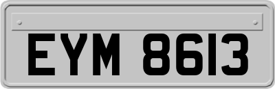 EYM8613