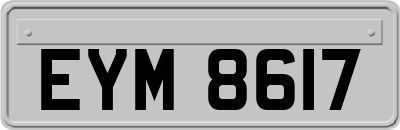 EYM8617