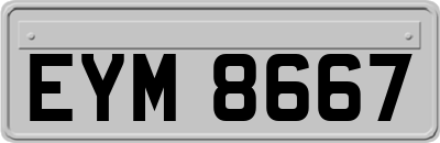 EYM8667