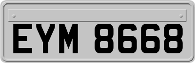 EYM8668
